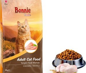 Hediye Kedi Maması Hangi Durumlarda Alınabilir?